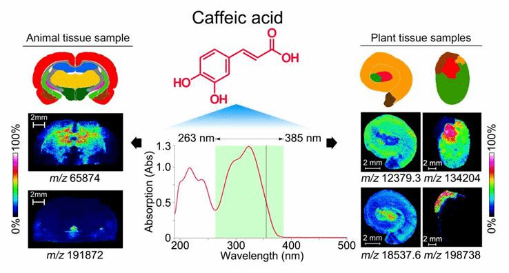 微信图片_20210402213903